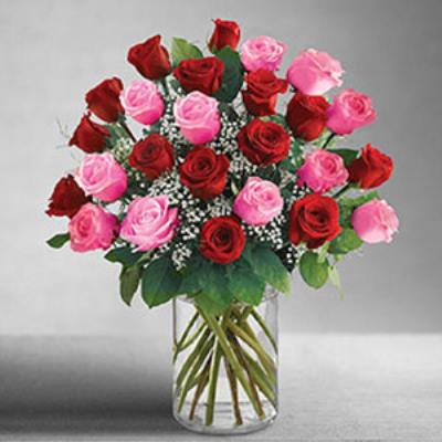 Morristown Florist | 24 Pink  & Red Roses