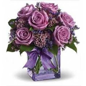 Morristown Florist | 6 Lavendar Roses