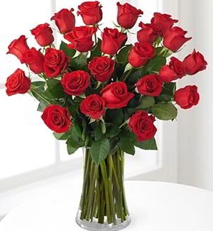 Morristown Florist | 24 Red Roses