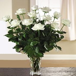 Morristown Florist | 12 White Roses 