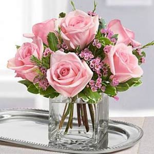 Morristown Florist | 6 Pink Roses