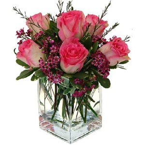 Morristown Florist | 6 Two Tone Roses
