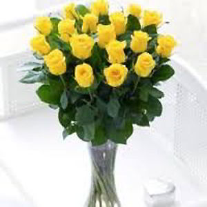 Morristown Florist | 18 Yellow Roses