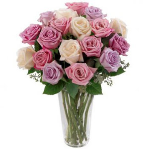 Morristown Florist | 18 Pastel Roses