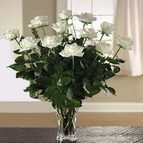 Morristown Florist | 12 White Roses 