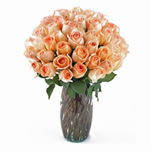 Morristown Florist | 36 Peach Roses