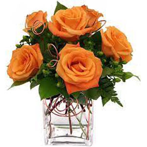 Morristown Florist | 6 Orange Roses