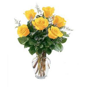 Morristown Florist | 6 Yellow Roses